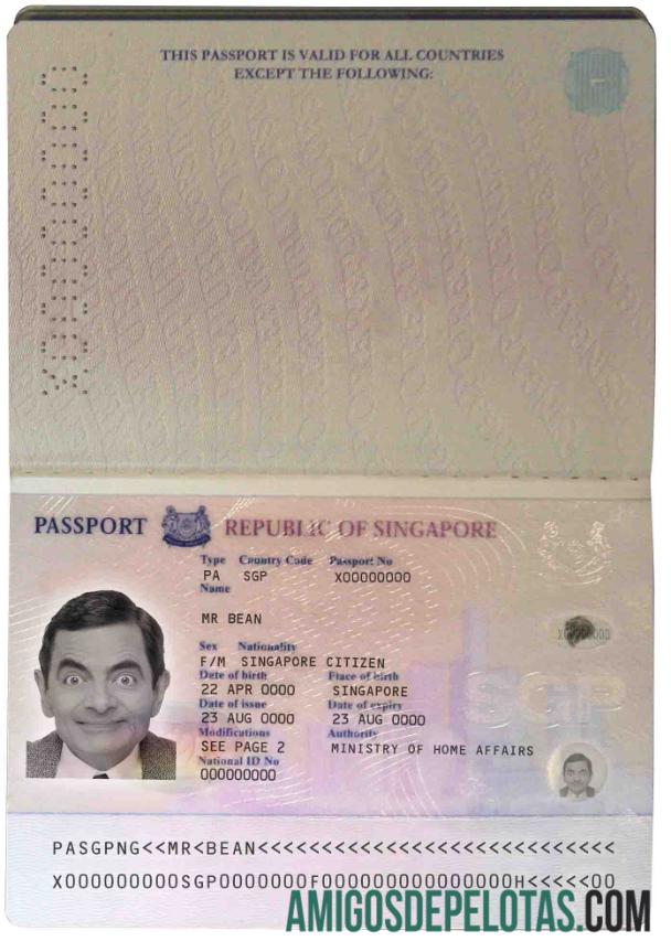 Passaporte de Cingapura (2006 2017) modelo